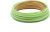 Scientific Anglers Amplitude Smooth Double Taper Fly line