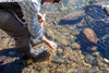 RiverKeeper Digital Thermometer