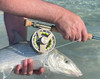 Kingfisher Fly Fishing Big Blackfoot Reel