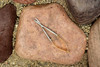 Kingfisher Fly Fishing Spring Fly Tying Scissors